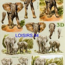 Feuille 3D  éléphants et Afrique